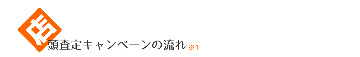mochi_01